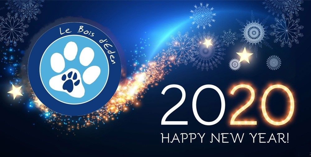 du Bois d'Eden - Bonne année 2020 !!!