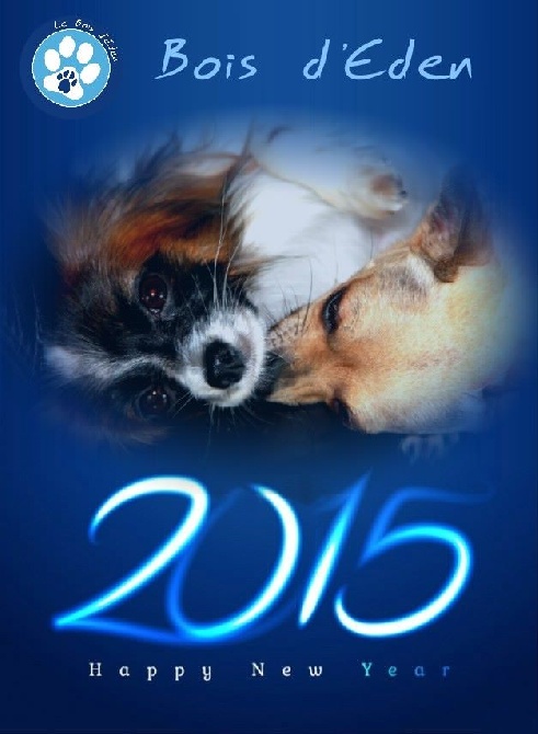 du Bois d'Eden - Bonne année 2015 !!!
